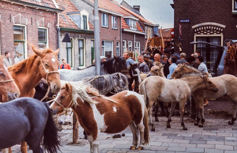 Paardenmarkt 1970